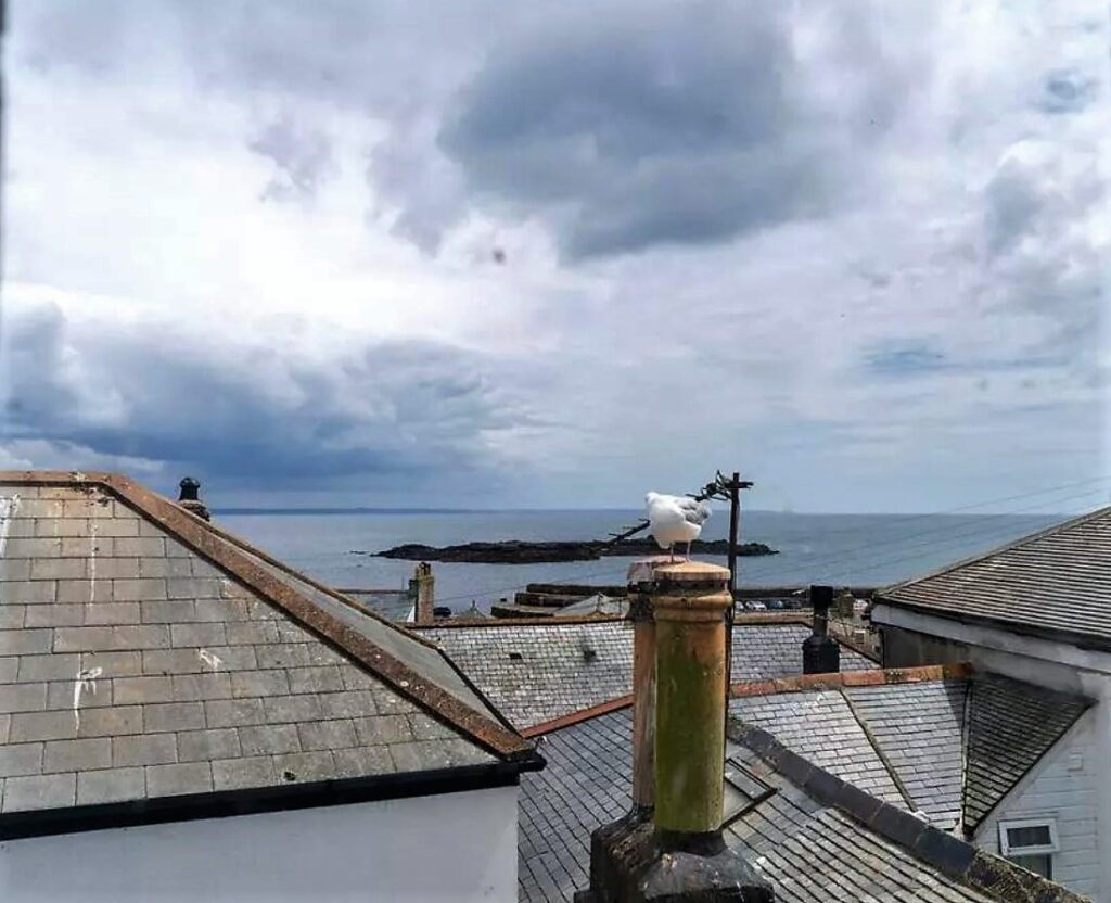 New slate roof